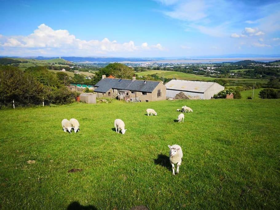 Braffin @ Fellside Farm, Pennington, Ulverston *